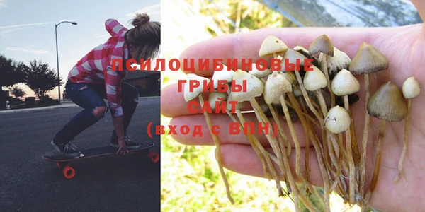 меф Абаза