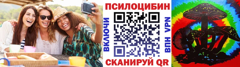 где купить наркотик  Мосальск  Галлюциногенные грибы Psilocybe 